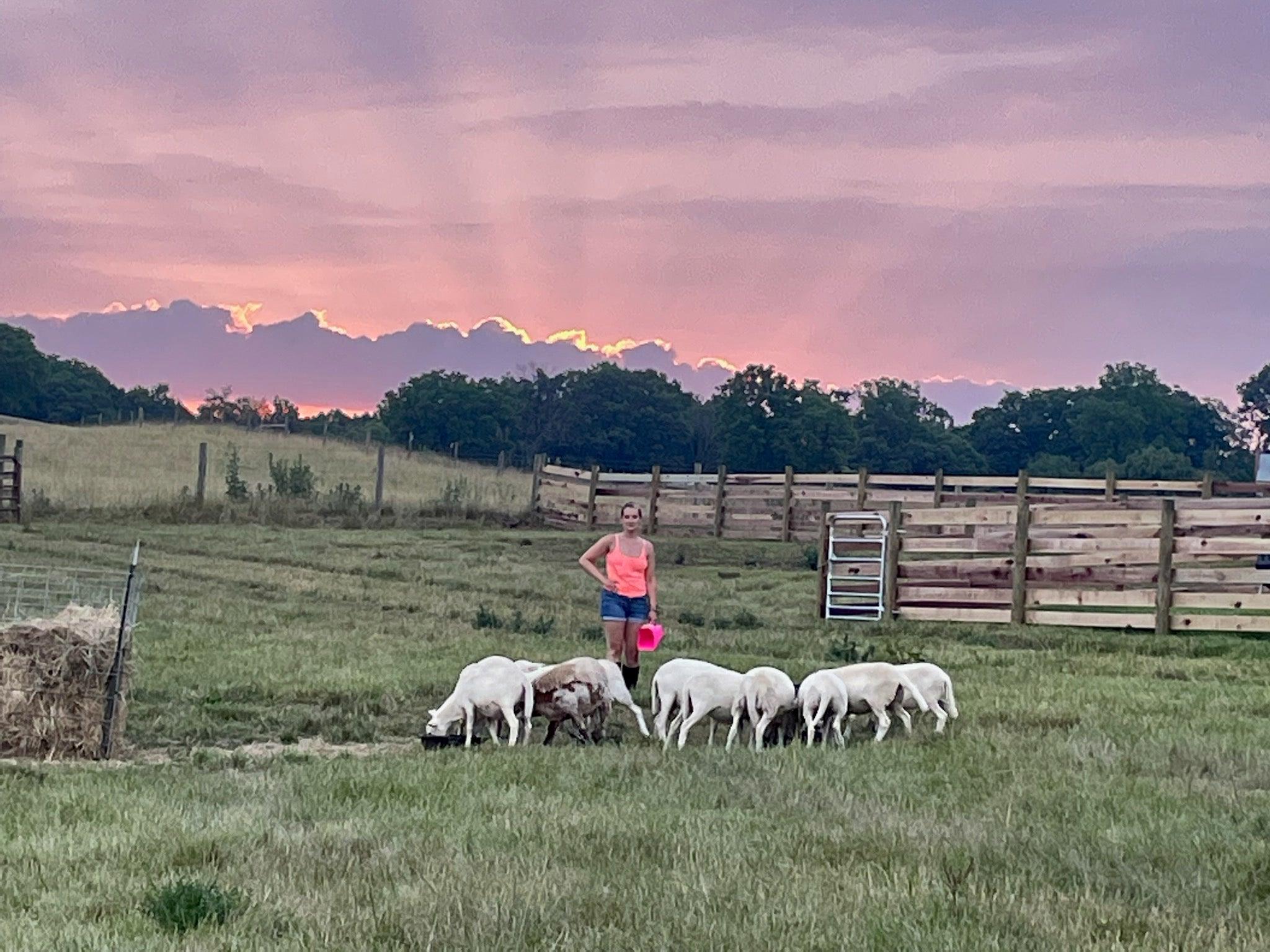 Morgan Slaven with ewes